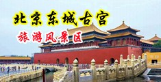 骚逼操逼美女网站中国北京-东城古宫旅游风景区